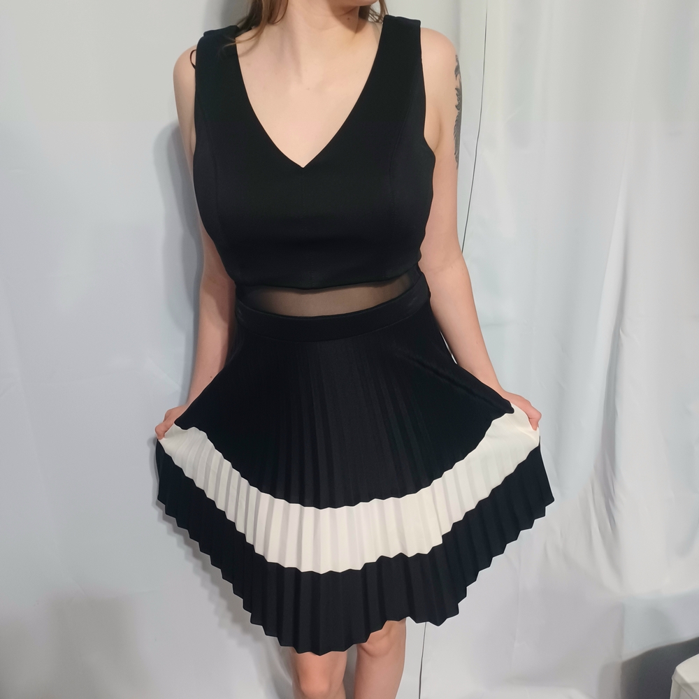 Black and White Mini Skater Skirt with Pleats